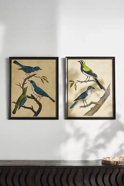 Anthropologie Blue Birds Wall Art In Multi