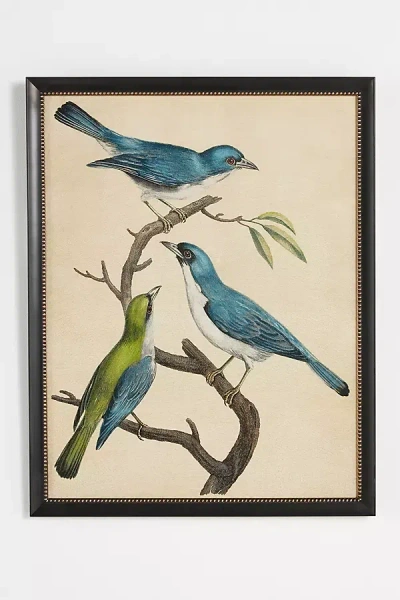 Anthropologie Blue Birds Wall Art In Multi