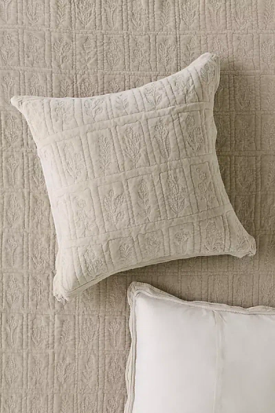 Anthropologie Botanical Cotton Velvet Floral Embroidered Euro Sham In Neutral