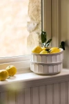 Anthropologie The Latte Stoneware Cereal Bowls, Set Of 4: Boulevard Edition In Neutral