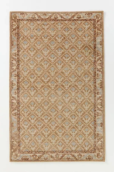 Anthropologie Bouti Hand-knotted Wool Persian-inspired Rug In Brown