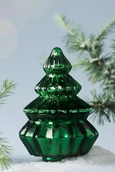 Anthropologie Bright Trees Woody Fresh Balsam & Cedarwood Glass Candle In Green
