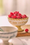 Anthropologie Café Violette Handpainted Stoneware Ice Cream Bowl