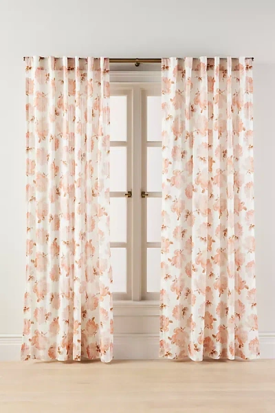 Anthropologie Cassandra Floral Sheer Printed Curtain In Brown