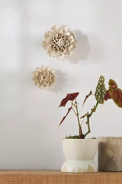 Anthropologie Ceramic Flower In White