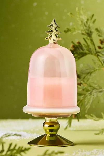 Anthropologie Christmas Tree Woody Crisp Cedar Glass Cloche Candle In Pink
