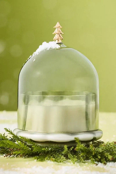 Anthropologie Christmas Tree Woody Fresh Balsam & Cedarwood Glass Cloche Candle In Green