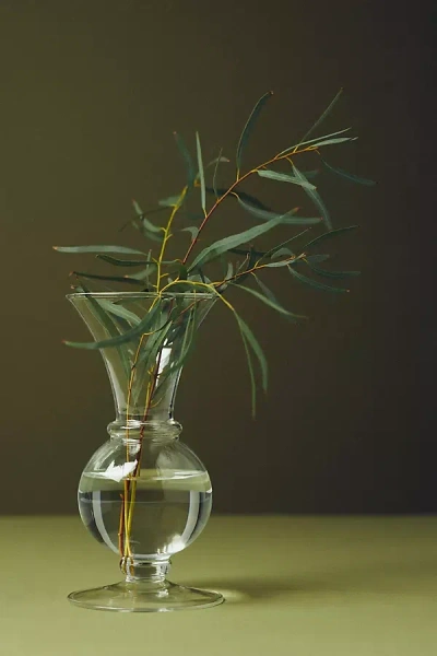 Anthropologie Claire Bud Vase In Transparent