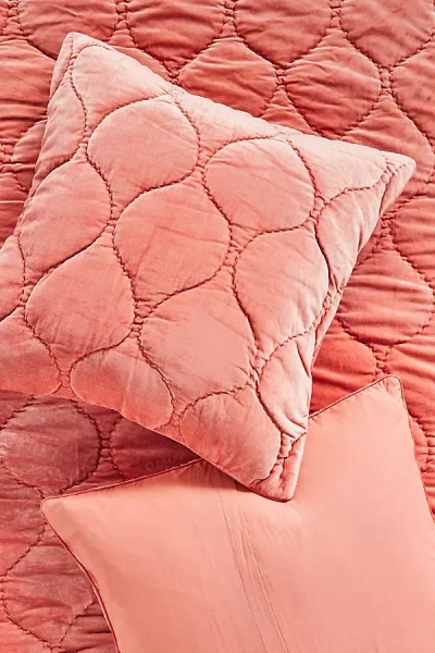 Anthropologie Claire Cotton Velvet Satin Euro Sham In Pink