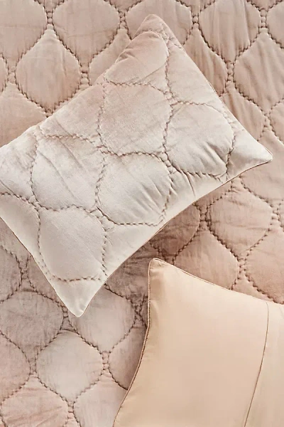 Anthropologie Claire Cotton Velvet Satin Shams, Set Of 2 In Pink