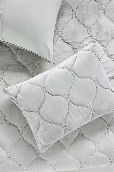 Anthropologie Claire Cotton Velvet Satin Shams, Set Of 2 In Gray
