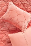 Anthropologie Claire Cotton Velvet Satin Shams, Set Of 2 In Pink