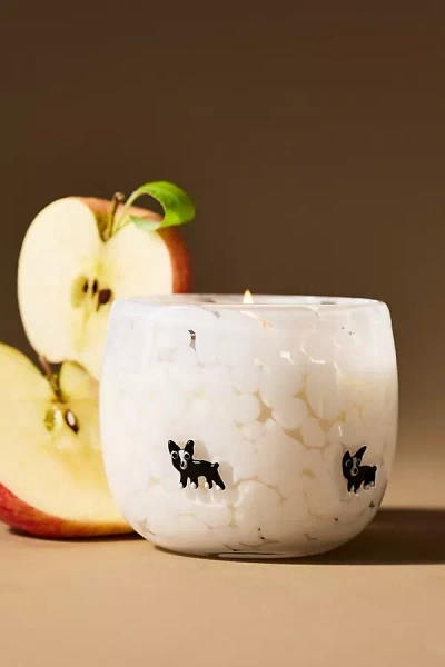 Anthropologie Confetti Icon Boxer Fruity Harvest Apple & Vanilla Glass Candle