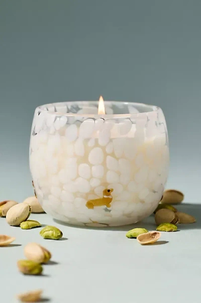 Anthropologie Confetti Icon Dachshund Gourmand Pistachio Glass Candle