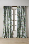 Anthropologie Cotton Pear Printed Curtain