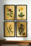 Anthropologie Crackled Flower Wall Art