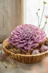 Anthropologie Crafted Botanical Bloom