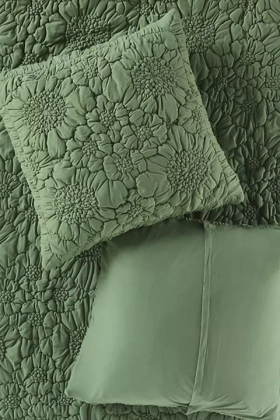 Anthropologie Dahlia Cotton Jersey Floral Euro Sham