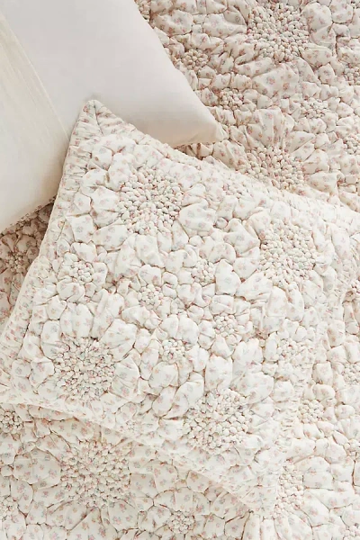 Anthropologie Dahlia Cotton Voile Floral Printed Textured Euro Sham In Neutral