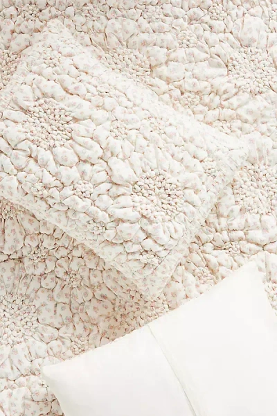 Anthropologie Dahlia Cotton Voile Floral Printed Textured Shams, Set Of 2 In Neutral
