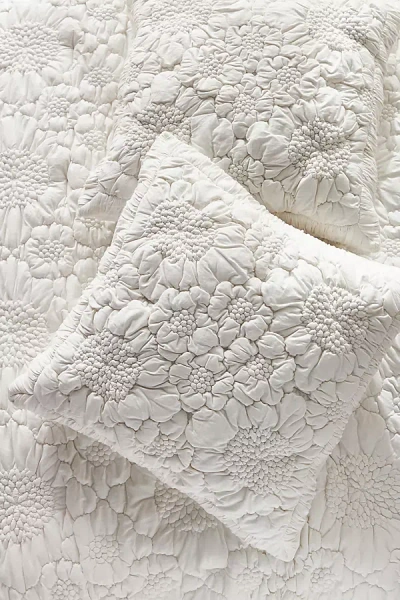 Anthropologie Constance Cloud Jersey Euro Sham In White