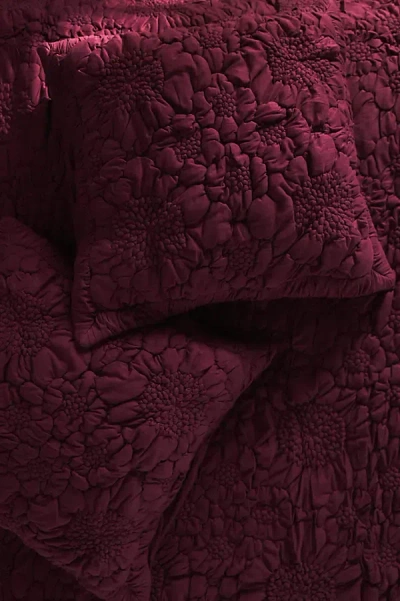 Anthropologie Dahlia Floral Jersey Euro Sham In Burgundy