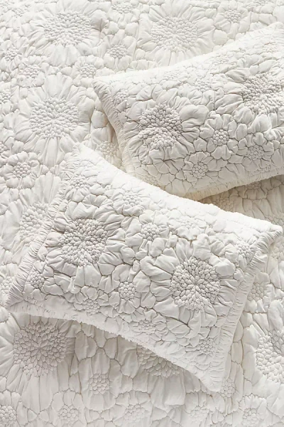 Anthropologie Dahlia Cotton Jersey Floral Shams, Set Of 2