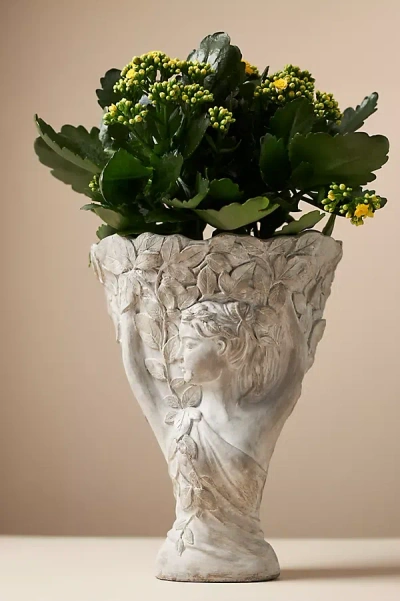 Anthropologie Daphne Pot