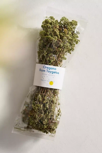 Anthropologie Daphnis And Chloe Oregano From Taygetus Bouquet In Green