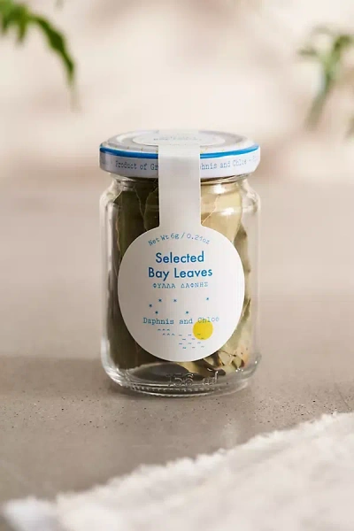 Anthropologie Daphnis And Chloe Selected Bay Leaves In White