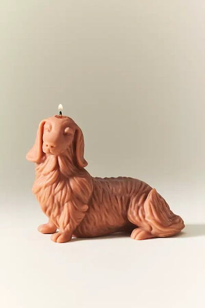Anthropologie Davie Ocho Dachshund Shaped Wax Candle In Brown