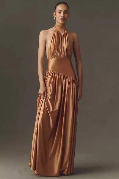 Anthropologie Delfi Laurel Maxi Dress In Brown