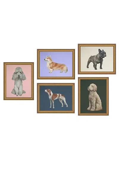 Anthropologie Dog Gallery Wall Art In Animal Print