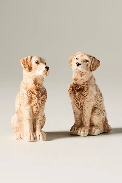 Anthropologie Dog Salt & Pepper Shakers In Neutral