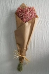 Anthropologie Dried Larkspur Bunch In Pink