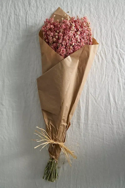Anthropologie Dried Larkspur Bunch In Pink