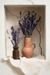 Anthropologie Dried Larkspur Bunch