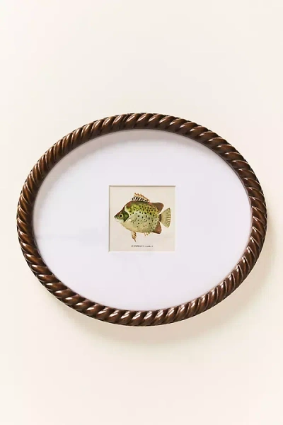 Anthropologie Dual Matted Rope Fish Frame In Multi