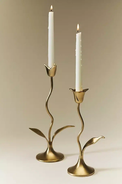 Anthropologie Emilia Tulip Candle Holder In Gold