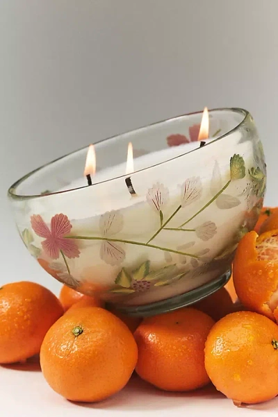 Anthropologie Etched Fruity Clementine & Jasmine Glass Candle In Transparent