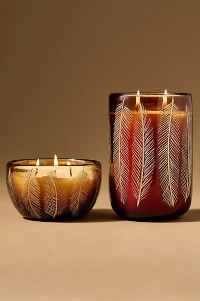Anthropologie Feathered Woody Leather & Leaves Glass Candle In Black