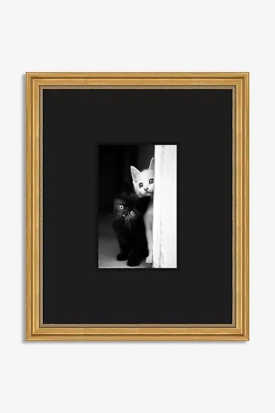 Anthropologie Feline Feature Peep Wall Art In Black