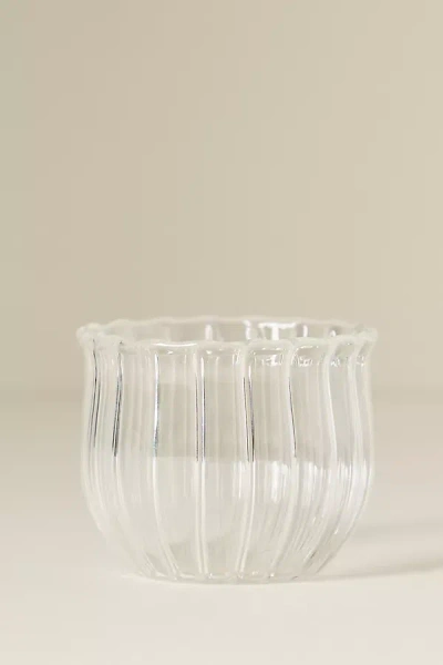 Anthropologie Fleck Kira Small Glasses, Set Of 4 In Transparent
