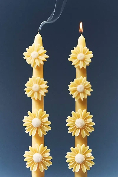 Anthropologie Fleur Daisy Taper Candles, Set Of 2 In Yellow