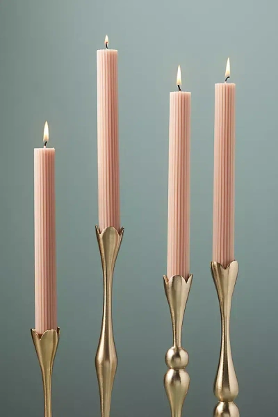 Anthropologie Fluted Taper Candles, Set Of 4 In Neutral