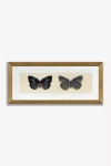 Anthropologie Flutter Iv Wall Art
