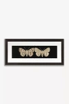 Anthropologie Flutter X Wall Art