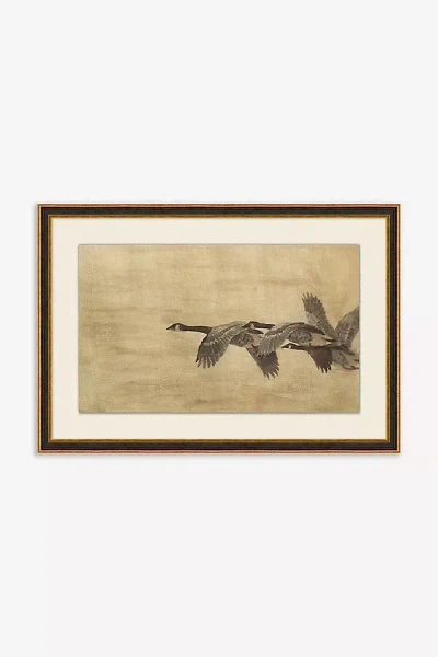 Anthropologie Flying Together Wall Art In Neutral