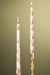 Anthropologie Forage Fall Icon Taper Candles, Set Of 2 In Multi