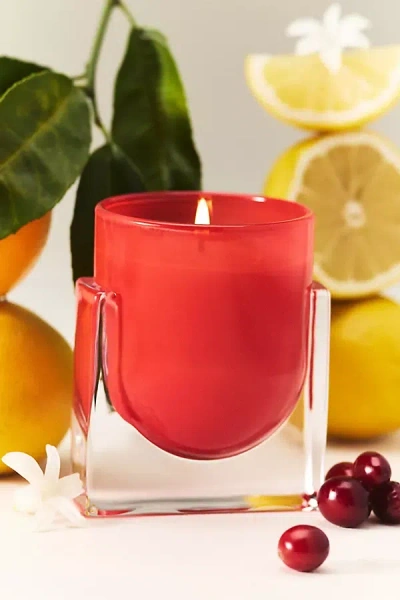 Anthropologie Found Notes Fruity Berry Citron & Blossom Boxed Glass Candle In Red